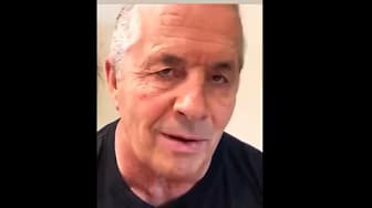 Post 2 by Wrestling Shoot Interviews - WrestleSMACK on YouTube (video)