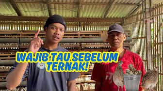 Post 2 by Uncle Ben on YouTube (video)