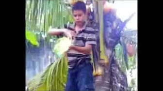Post 9 by TECNOLOGIA PRO-GAMING on YouTube (video)