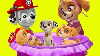 Post 7 by Animation Movies TV on YouTube (video)