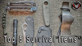 Post 1 by Bugout Channel on YouTube (video)