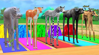 Post 9 by Animal Cartoon Games on YouTube (video)