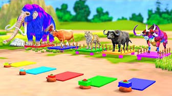Post 8 by Animal Cartoon Games on YouTube (video)