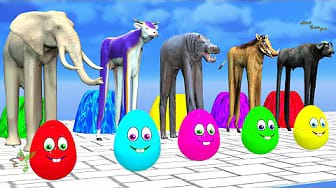 Post 7 by Animal Cartoon Games on YouTube (video)