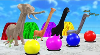 Post 5 by Animal Cartoon Games on YouTube (video)