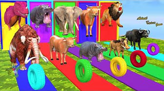 Post 6 by Animal Cartoon Games on YouTube (video)