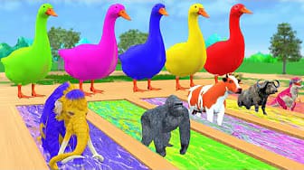 Post 2 by Animal Cartoon Games on YouTube (video)