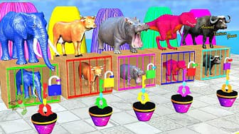Post 4 by Animal Cartoon Games on YouTube (video)
