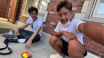 Post 4 by theALIFE on YouTube (video)