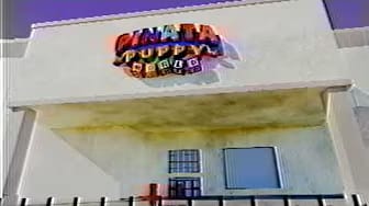 Post 4 by Piñata Puppy World on YouTube (video)
