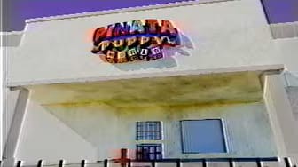 Post 1 by Piñata Puppy World on YouTube (video)