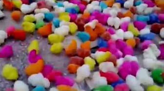 Post 7 by Cute Animals on YouTube (video)