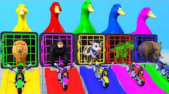 Post 1 by Animals 3D XD Animation on YouTube (video)