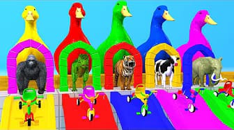 Post 2 by Animals 3D XD Animation on YouTube (video)