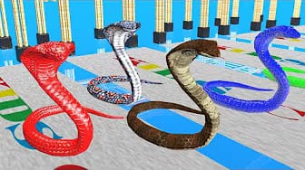 Post 6 by KIDS COLOR on YouTube (video)