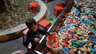 Post 7 by KIDS COLOR on YouTube (video)