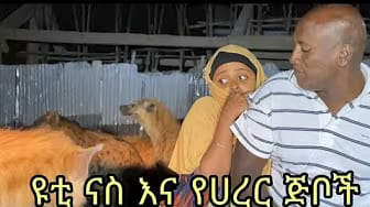Post 1 by yuti nass on YouTube (video)