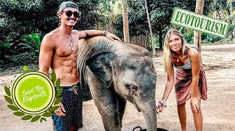 Post 5 by Seb and Jen on YouTube (video)
