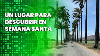 Post 7 by Caraota _Digital on YouTube (video)
