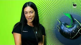 Post 1 by Caraota _Digital on YouTube (video)