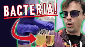 Post 2 by Larl's Lab on YouTube (video)