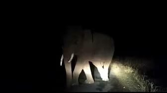 Post 1 by Live Srilanka on YouTube (video)
