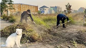 Post 3 by Super Cleaning Service on YouTube (video)