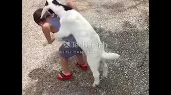 Post 3 by Funny Pranks on YouTube (video)