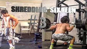 Post 8 by Jason Hill on YouTube (video)