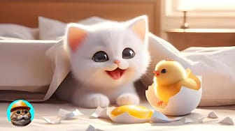 Post 3 by Cute Cat of YT on YouTube (video)