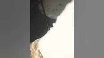 Post 2 by Bautista Marquez on YouTube (video)