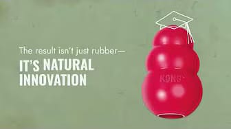 Post 1 by KONG Company on YouTube (video)