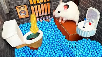Post 2 by A Little Hamster KM on YouTube (video)