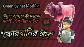 Post 1 by GREEN SYLHET LTD on YouTube (video)