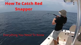 Post 6 by Scott Bonner Outdoors on YouTube (video)