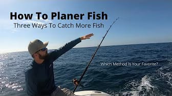 Post 7 by Scott Bonner Outdoors on YouTube (video)