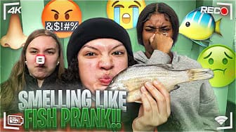 Post 2 by STEF TREND on YouTube (video)