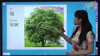 Post 4 by Xufu Chinese Education on YouTube (video)