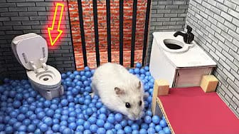 Post 10 by Hamster Maze on YouTube (video)