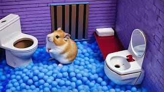 Post 8 by Hamster Maze on YouTube (video)