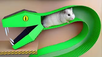 Post 5 by Hamster Maze on YouTube (video)