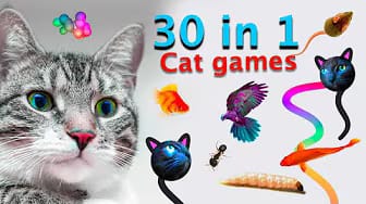 Post 8 by CAT & DOG CENTRAL on YouTube (video)