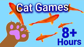 Post 5 by CAT & DOG CENTRAL on YouTube (video)