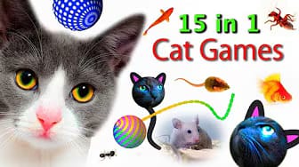 Post 4 by CAT & DOG CENTRAL on YouTube (video)