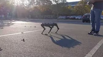 Post 4 by Ghost Robotics on YouTube (video)