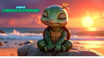 Post 3 by The Zen Turtles on YouTube (video)