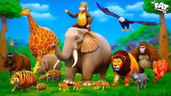 Post 2 by Animals Joy Time on YouTube (video)