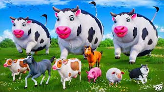 Post 1 by Animals Joy Time on YouTube (video)