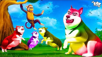 Post 7 by Animals Joy Time on YouTube (video)