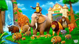 Post 5 by Animals Joy Time on YouTube (video)